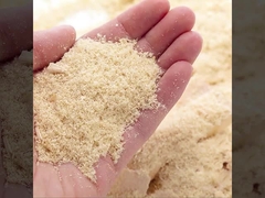 WPC는 벽판지 공장 직접적 판매 방화와 방습에게 피리 같은 소리로 말했습니다