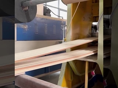 WPC 방음벽 지판 공장 직접적 방수와 방습