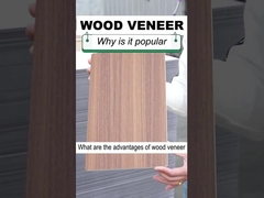 단단한 인테리어 장식 1.22m 폭 나무 무늬 목재 베니어 PVC 벽판지