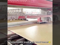 2.44m 대나무 석탄 벽판 현대 가벼운 고급 맞춤형 길이 PVC 탄소 결정 벽판